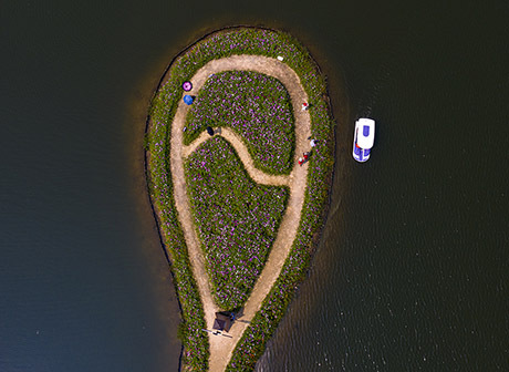 Beautiful Galsang flowers only an hour from downtown