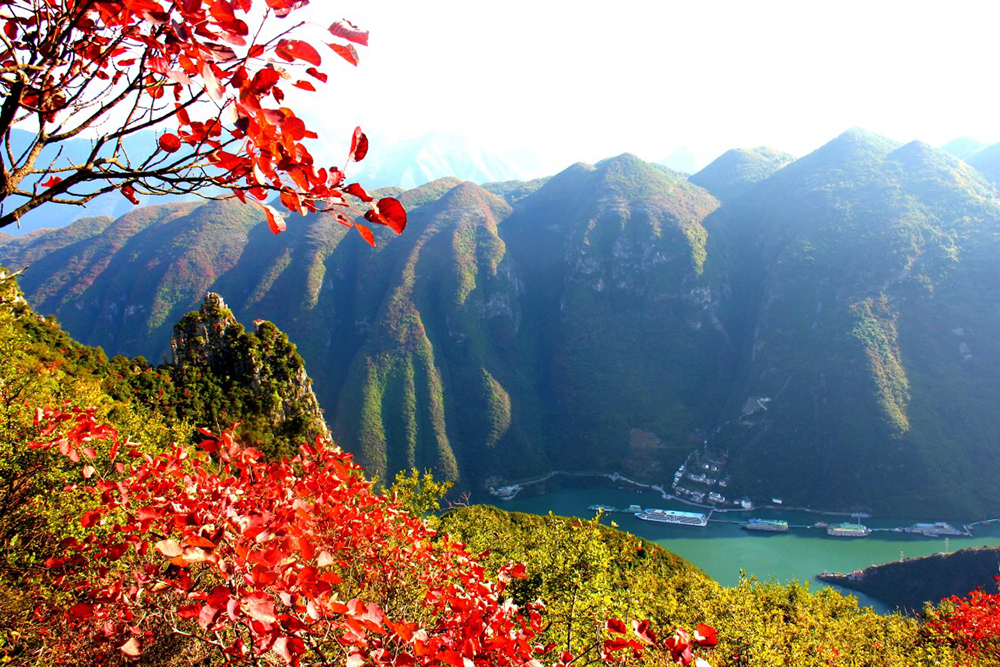 Red leaves at Wushan County