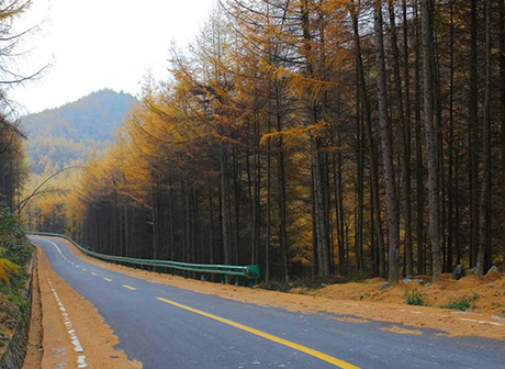 Amazing Autumn Scenery in Chongqing
