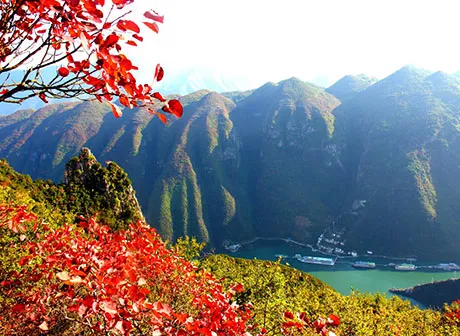 Breathtaking Autumn in Chongqing