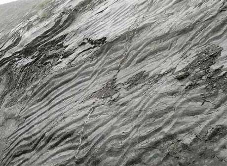 Triassic Ripple Mark First Found in Chongqing