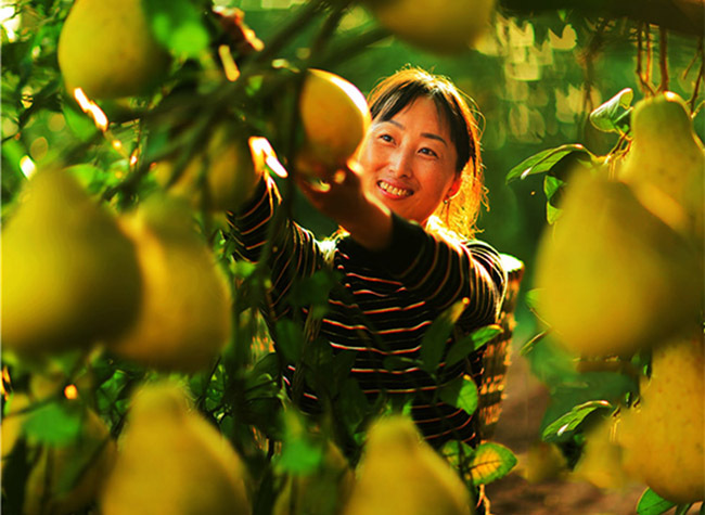 5 Places To Enjoy the Feast on the Gift of Nature in Chongqing's Autumn