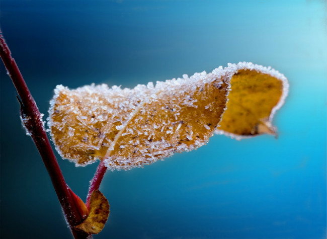 24 Solar Terms: 8 things you need to know about Frost's Descent