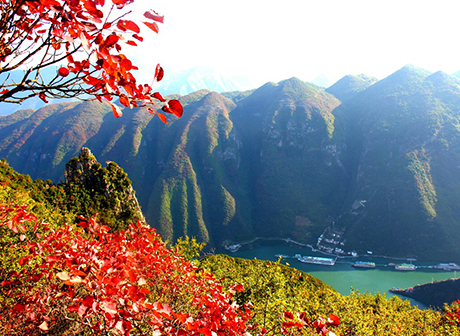 Five Chongqing Destinations with Red Leaves