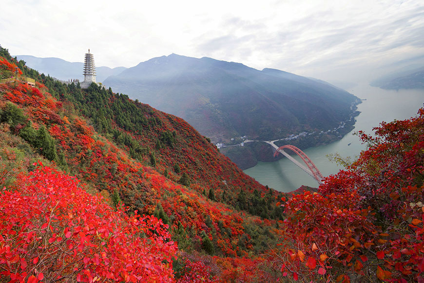 6 Sightseeing Routes for Visiting Wushan Red Leaves | ichongqing