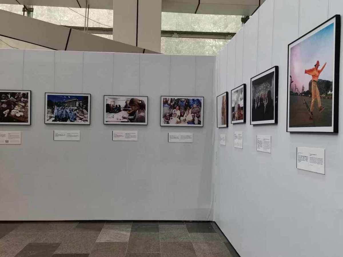 The ehibition