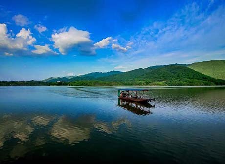 Chongqing Dianjiang: Hometown of Chinese Peony Flower