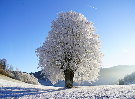 24 Solar Terms: Start of Winter