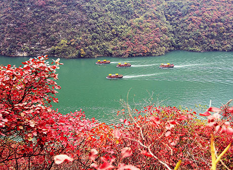 6 Sightseeing Routes for Visiting Wushan Red Leaves