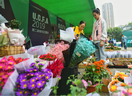 The 2nd Flower Expo Closes, Greeting 1.48 Million Visitors