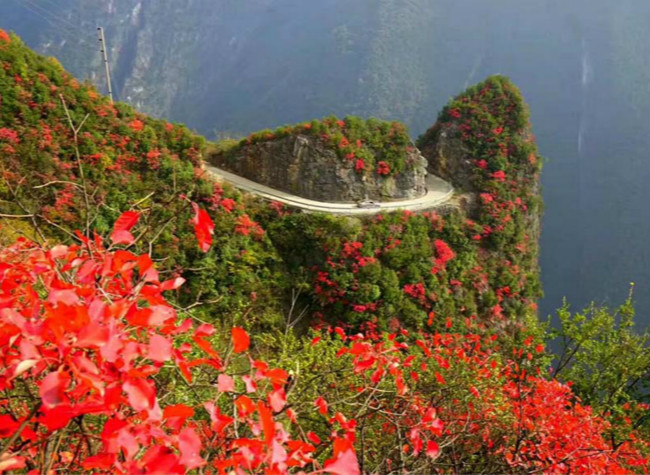 Chongqing Showcase in Wuxi Pools over 300,000 Tourists During the Double Festival