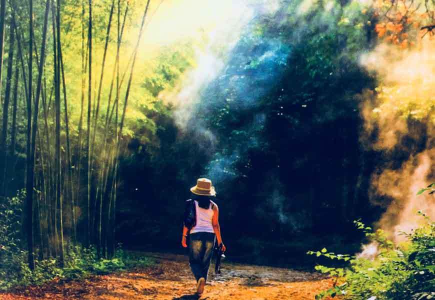 Baili bamboo forest