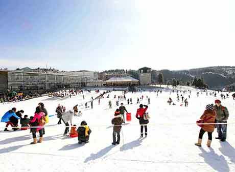 Wulong Fairy Mountain International Ice and Snow Festival Opens