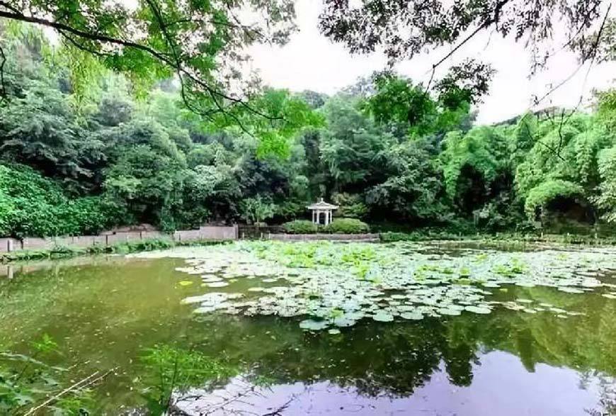 Flower Park, Yubei District