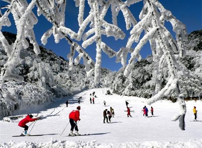 Enjoy Colorful Winter in Chongqing Nanchuan