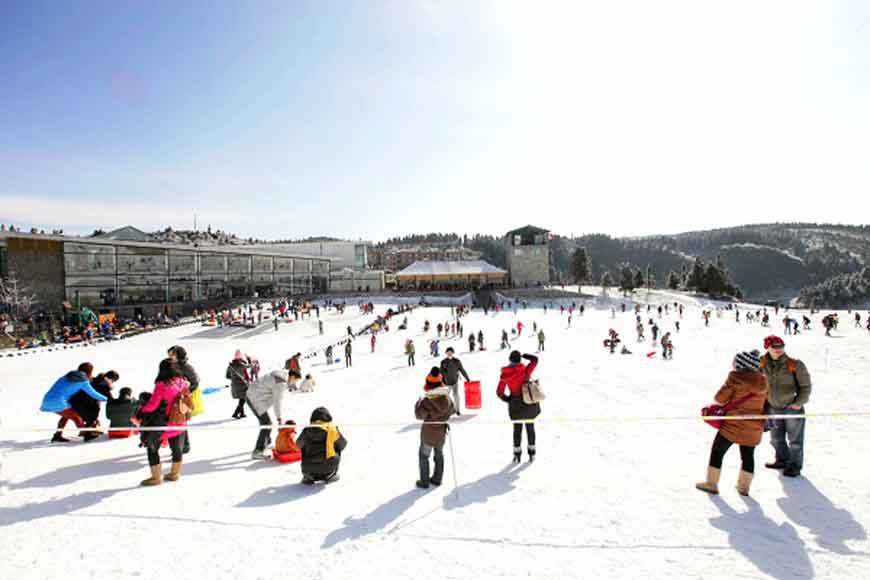 Wulong Fairy Mountain International Ice and Snow Festival