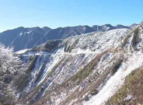 21 Rare Species of Wild Animals Appear on Chongqing Xuebao Mountain