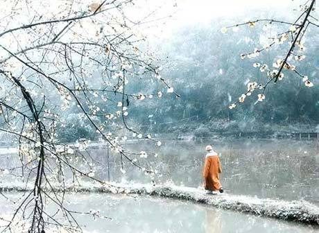 Guide for Enjoying Chongqing's Blooming Wintersweet