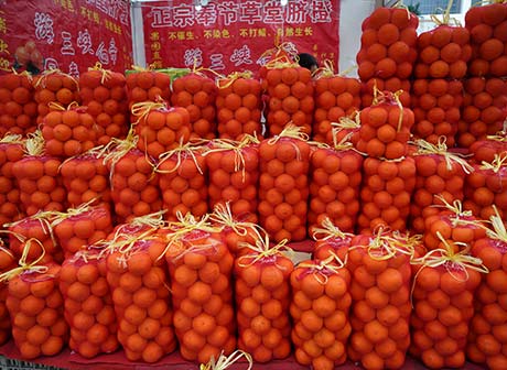 Agricultural Products Fair Opens with Over 6,900 Products