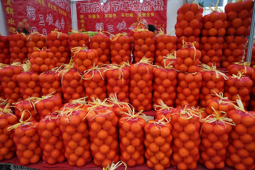 agricultural-products-fair