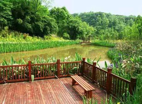 Downtown Chongqing's Yinglong Lake National Wetland Park to Open Soon