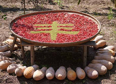 More than 98% of Chongqing's Poor People were Elevated from Poverty