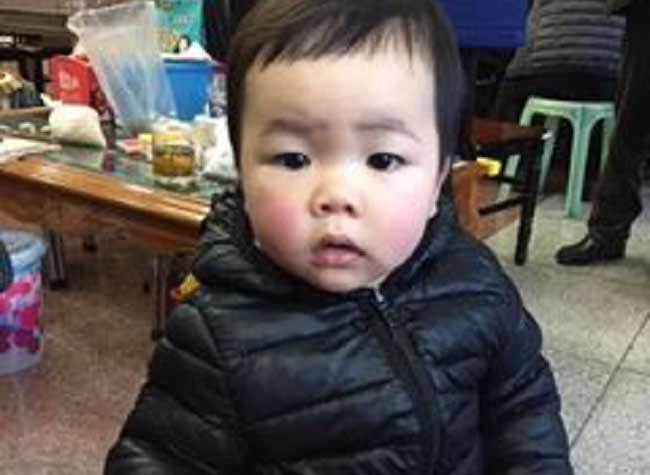 Jan. 25, Keep Working on the Spring Festival