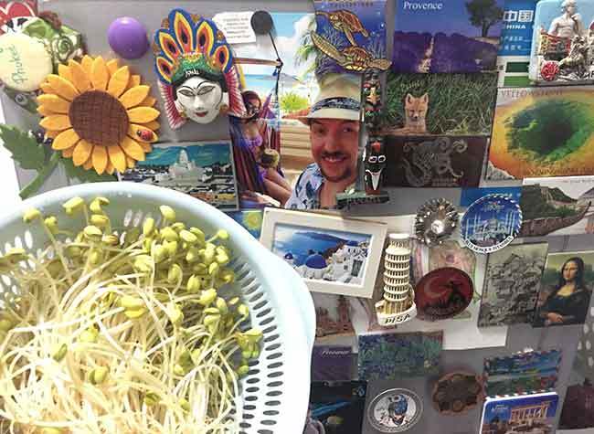 Feb. 19, Water Under the Fridge (A Canadian's Diary Inside Chongqing During the COVID-19 Home Quarantine)