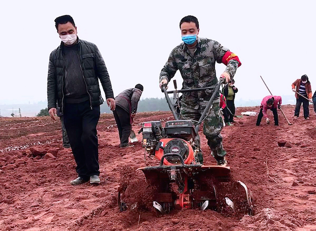 Chongqing COVID-19 Update: 239 Confirmed Cases Hospitalized, 66% Leading Agricultural Firms Resume Operation