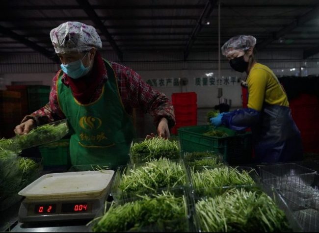 Chongqing Novel Coronavirus Update: Ensure Medical Supplies in the city