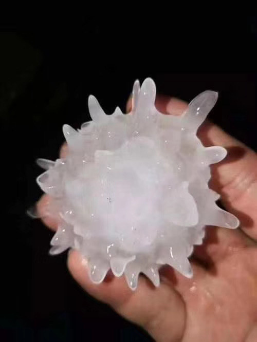A coronavirus shaped hail ball fell from the sky last night.