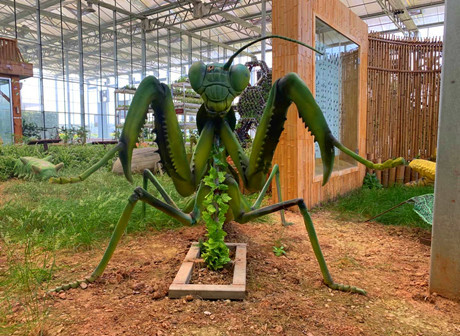 Enjoy the Springtime Warmth with Creepy Crawlies in Bishan Countryside! - James' Vlog