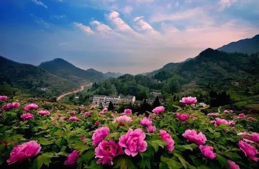 The Dianjiang Kaizhi Mountain Tourist Area