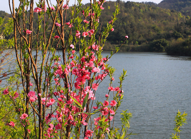 Chongqing's Four Attractions Approved as National AAAA Scenic Spots