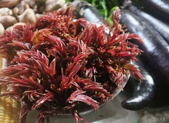 Without Chinese Toon Sprouts, Spring Becomes Pointless