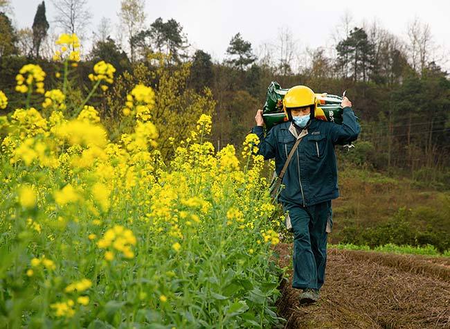 Chongqing Launches 100-Day Spring Plowing Services