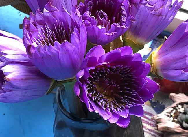 Mar. 1, Beans, Bullets, and Bandaids (A Canadian's Diary Inside Chongqing During the COVID-19 Home Quarantine)