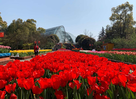 Spring in full bloom at Nanshan Botanical Gardens - James' Vlog
