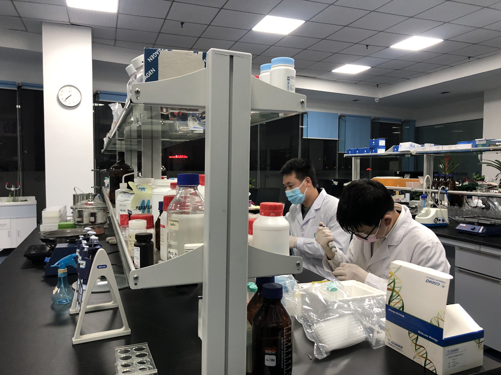 testing-kit