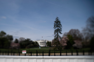 the-White-House