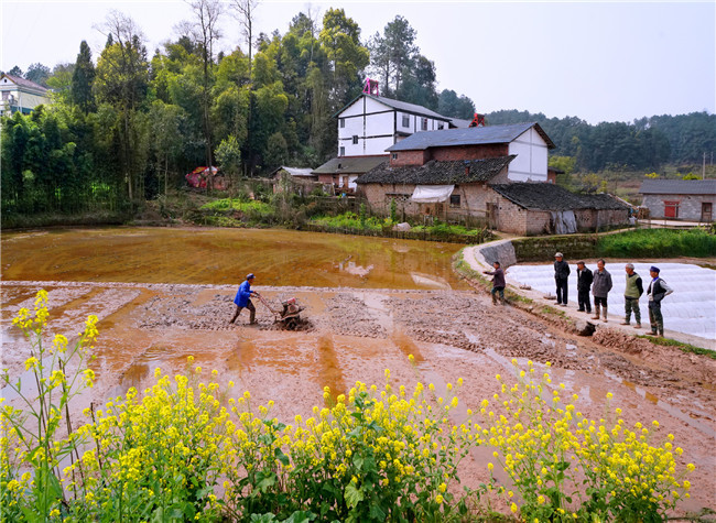 Chongqing's Multiple Measures to Fight Against Poverty While Overcoming COVID-19 Impact