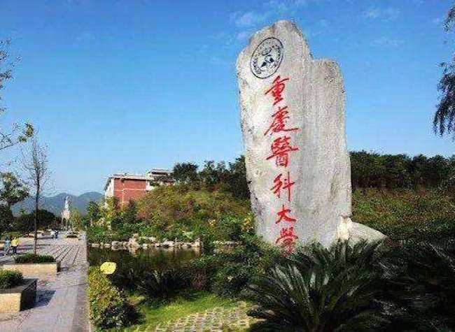 Experts from Chongqing Medical University Sharing Experience in Curbing the COVID-19 Outbreak