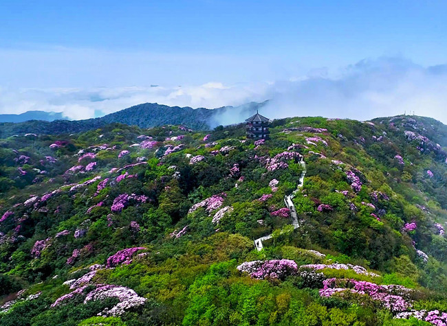 30% of Capacity is Open to Tourists in Chongqing During May Day Holiday