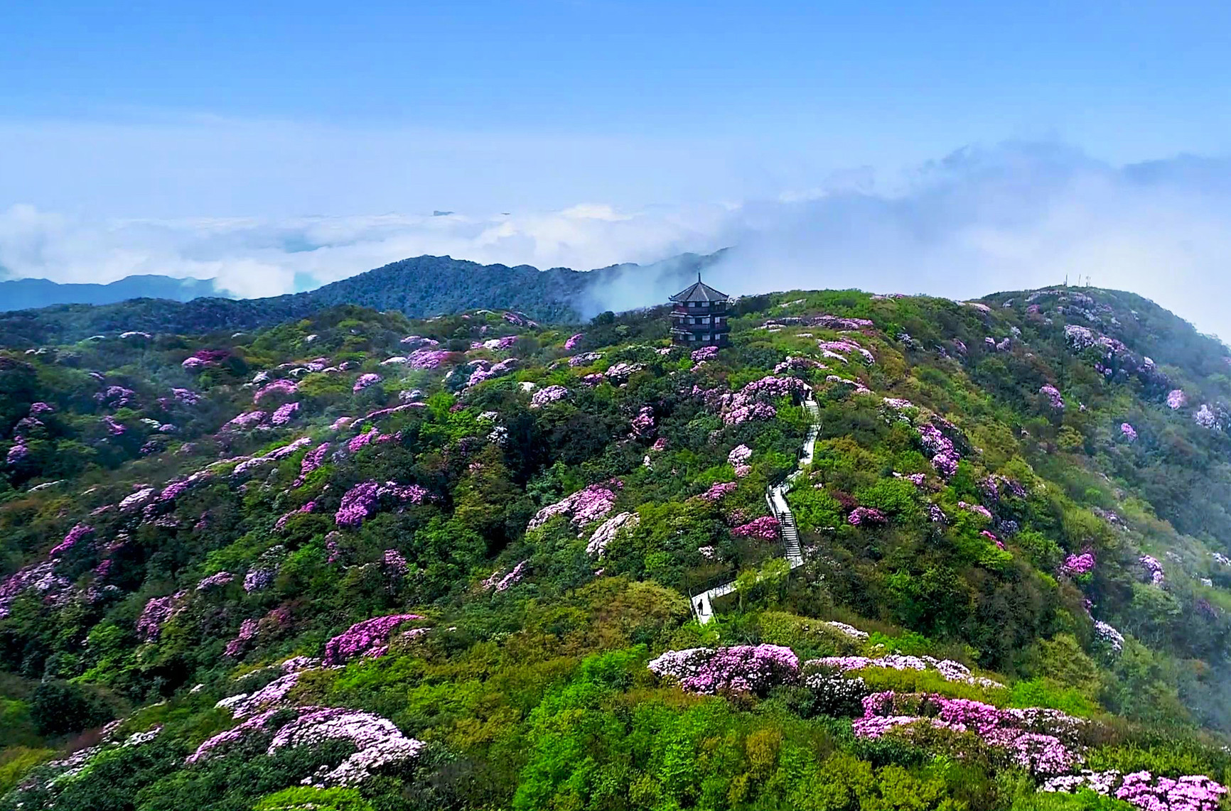 30-of-capacity-is-open-to-tourists-in-chongqing-during-may-day-holiday