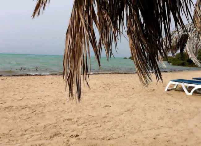 The Lighthouse Diaries: Jeddah, Saudi Arabia, April 8 - Dreaming of a Dancefloor