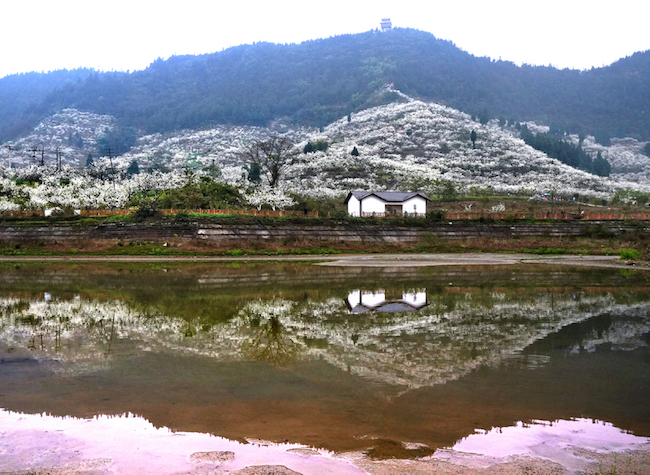 Five Routes for City Leisure, Folk Experience, Extreme Sports in Yubei District for You to Explore