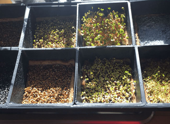 The Lighthouse Diaries: PRINCE EDWARD ISLAND, CANADA, April 6 - Doing More with Less