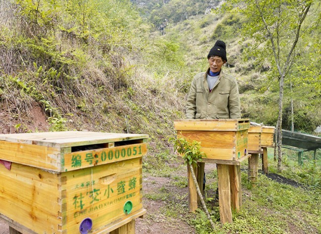 Bitterness, Spiciness, and Sweetness- Chongqing Shizhu Ushers in a New Chapter