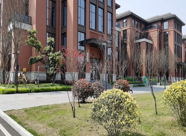 Invest in Chongqing: Sino-Swiss Techno Park's Opportunities for Global Talents