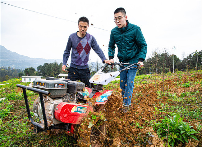 Chongqing Issues 22 Measures to Increase Farmers' Income